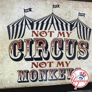 Meet your Posher, Steven